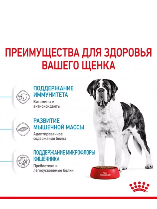 ROYAL CANIN Giant Junior (Роял Канин Джайнт юниор) корм сухой для собак Giant Junior 17 кг.