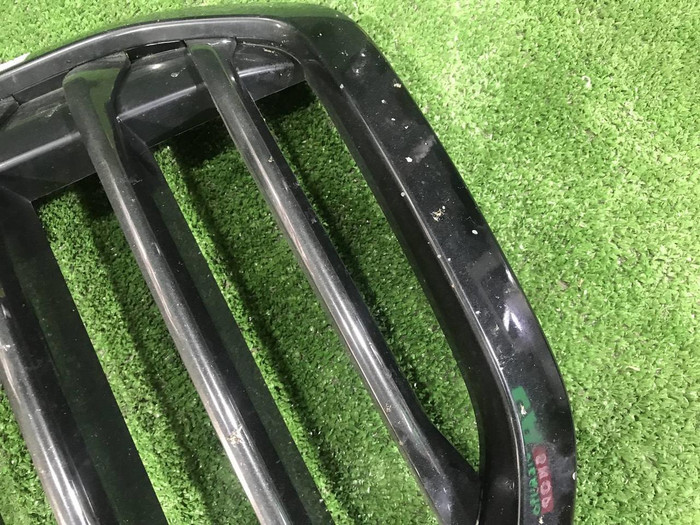 Решетка радиатора BMW X7 G07 (2019-2022)