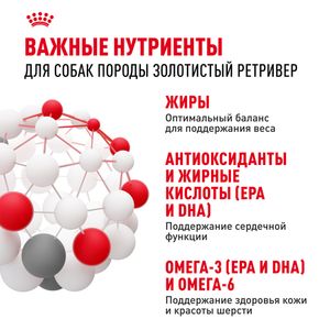 Сухой корм Royal Canin Golden Retriever Adult для взрослых собак породы Голден Ретривер от 15 месяцев