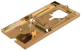 Защита от насекомых и вредителей