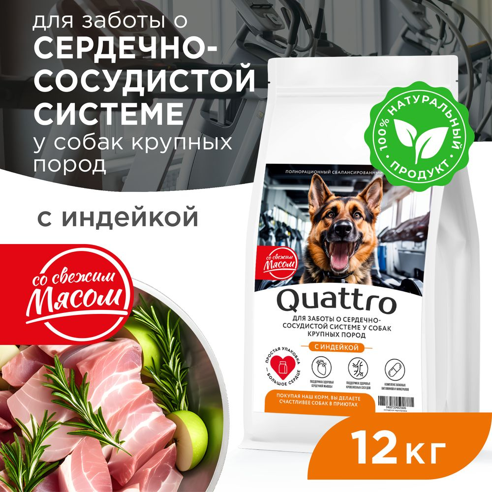 Корм сухой для взрослых собак крупных пород, премиум полнорационный комплекс, для заботы сердечно-сосудистой системы, с индейкой, 12 кг, QUATTRO