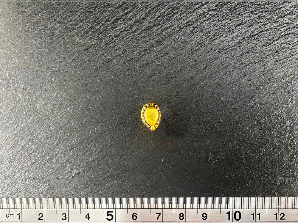 Русь, Торопец 10-11 в.