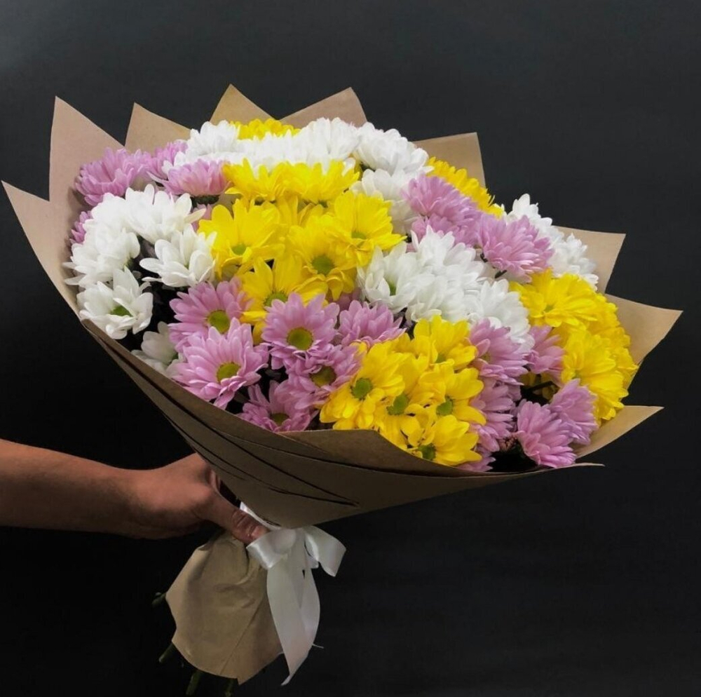 Хризантема кустовая