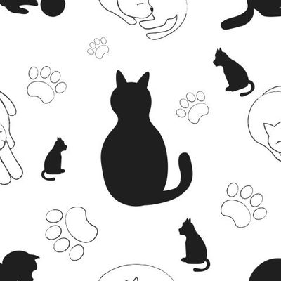 Коты