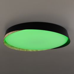 Citilux BONNY CL754451G LED RGB Светильник с пультом Чёрный + Клён