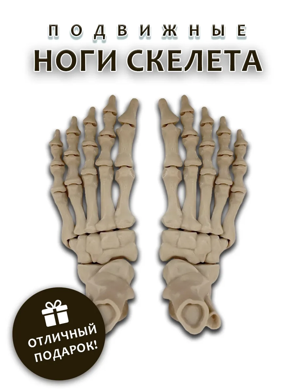 Ноги скелета