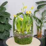 Композиция с первоцветами Лесная корзина L