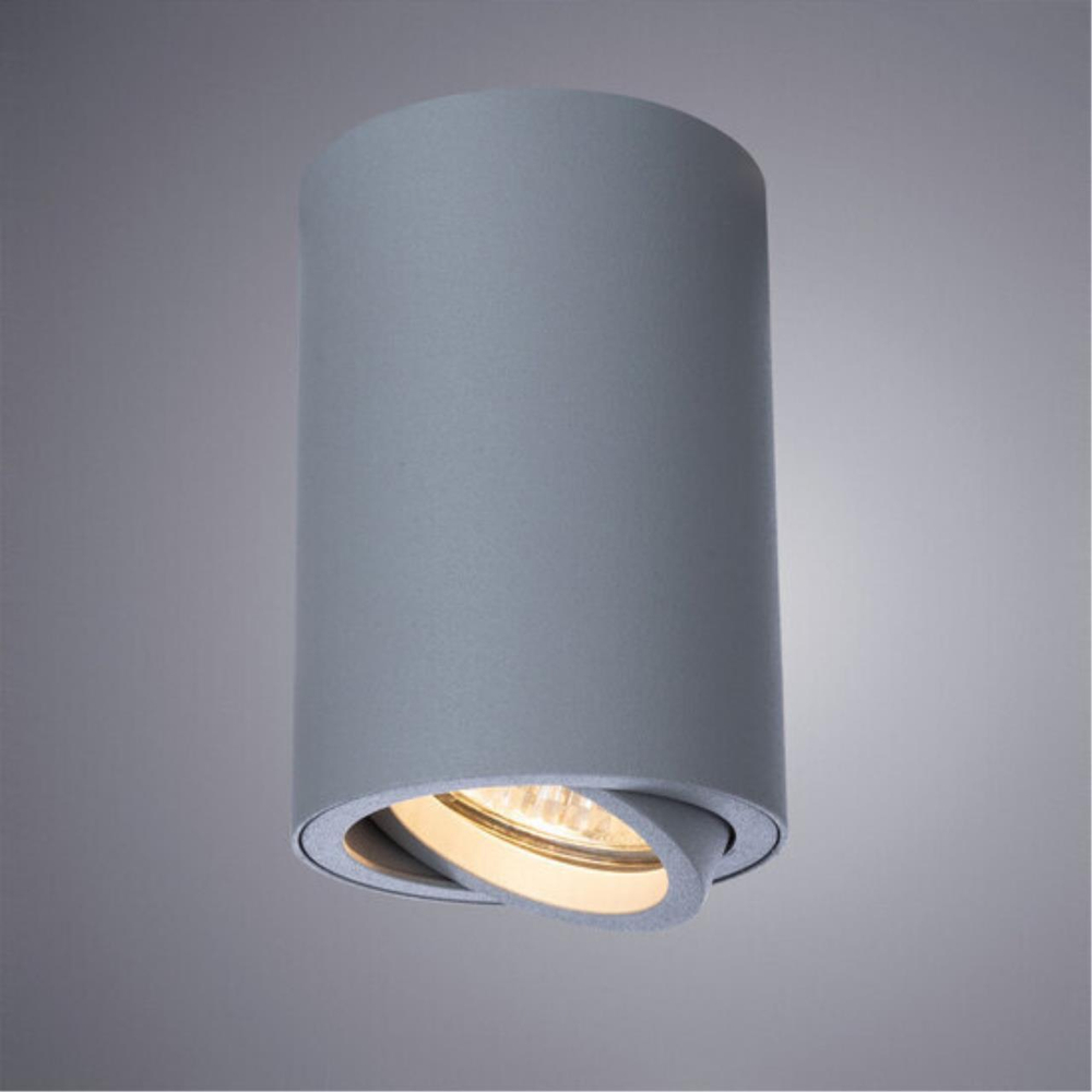 Накладной светильник Arte Lamp SENTRY A1560PL-1GY