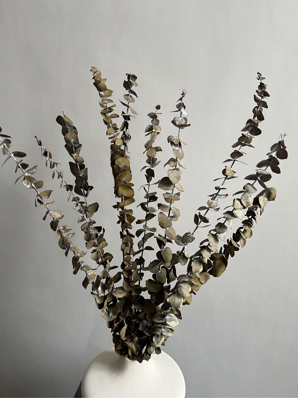 Эвкалипт Бейби Блю стабилизированный хаки