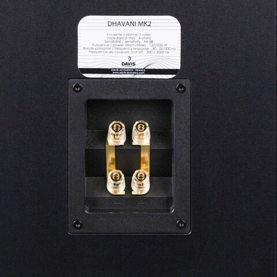 Напольная акустика Davis Acoustics Dhavani MK2