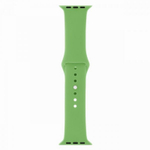 Ремешок для Apple Watch 42/44мм (зеленый)