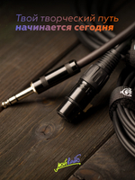 Микрофонный кабель XLR-jack ROCKDALE XJ001-2M
