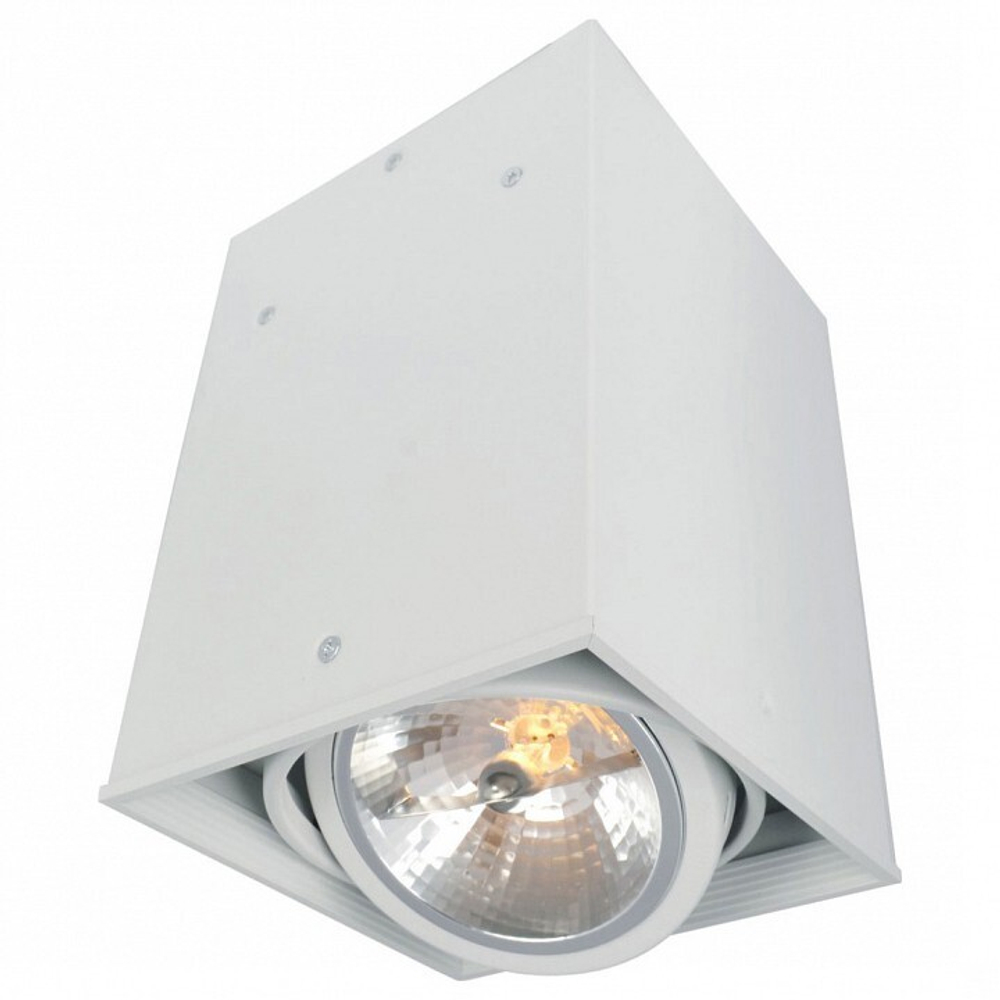 Накладной светильник Arte Lamp Cardani A5936PL-1WH