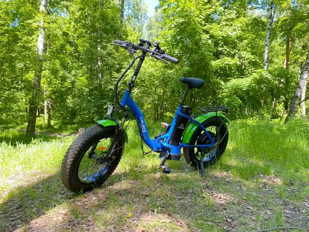 Электрофэтбайк Elbike Taiga 1 Elite (Черный)