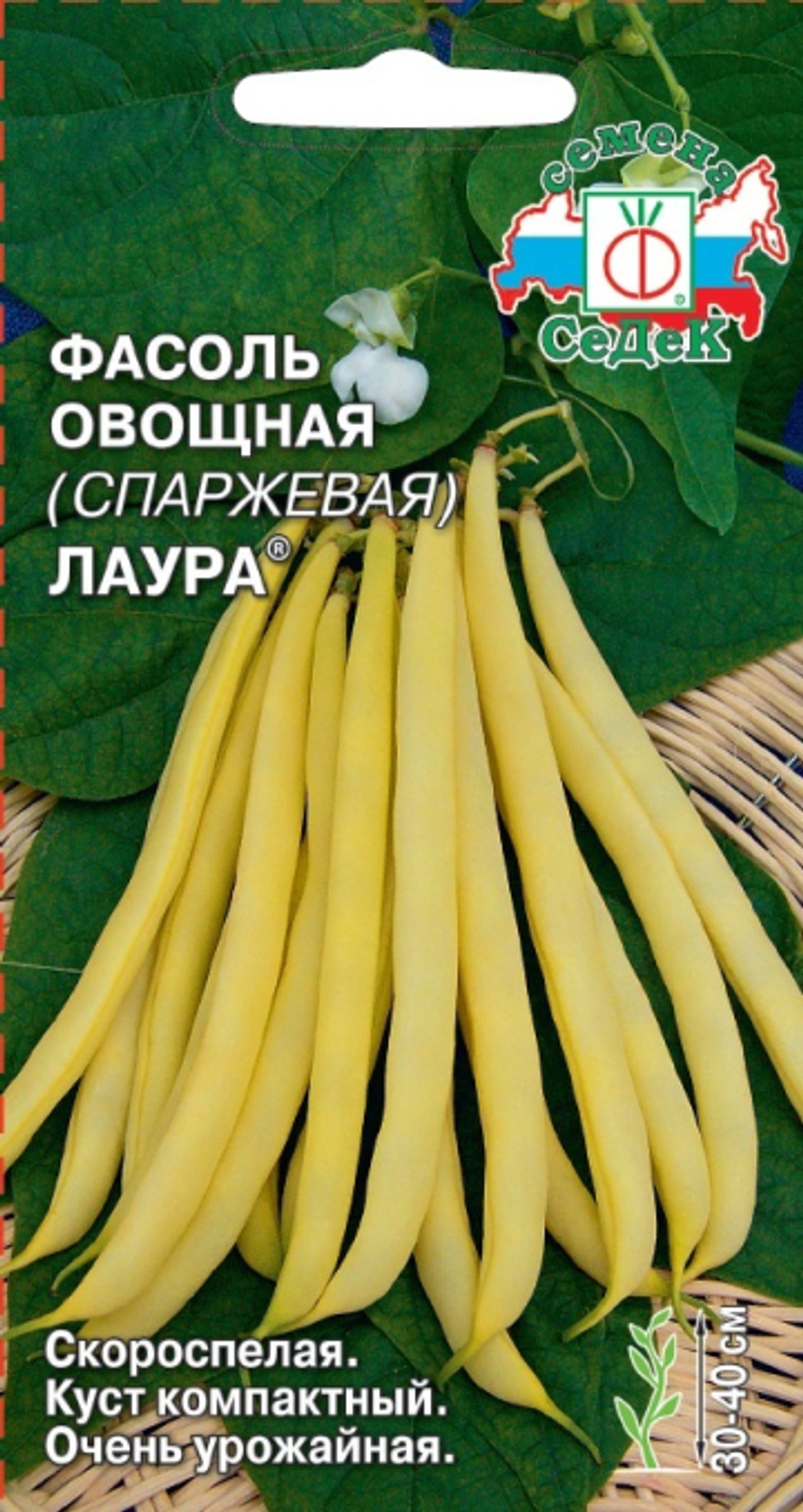 Фасоль Лаура