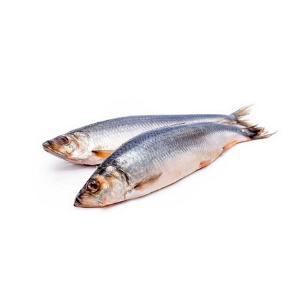 Сельдь с/с 350+ 1/5кг ТНС