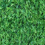 Газон декоративный «Grass» 1*5м, ворс 20 мм, Сочная трава