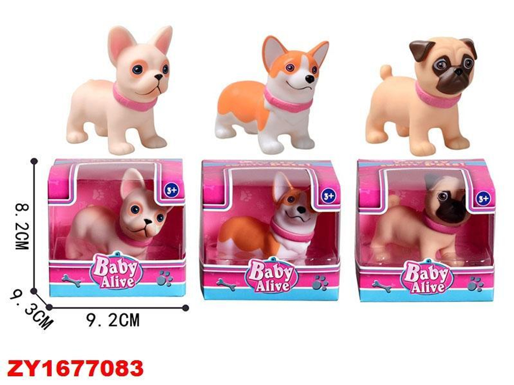 Питомец, коробка ZY1677083