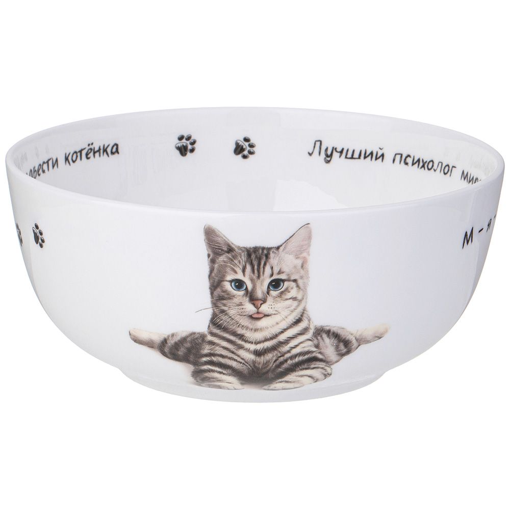 САЛАТНИК-ТАРЕЛКА СУПОВАЯ LEFARD "БЕРИ КОТА" 750 МЛ 15,5*6,5 СМ (КОР=36ШТ.)