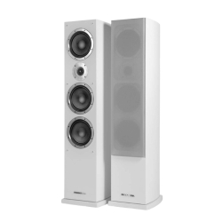 Напольная акустика Premiera DS-631