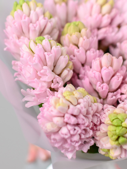 Монобукет из Гиацинтов