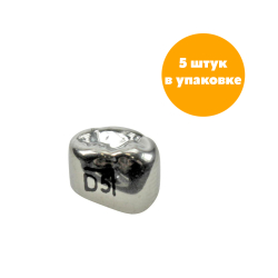 Первый нижний правый моляр, размер 5 (D-LR-5)