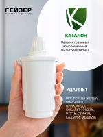 Комплект кассет Гейзер 501 (2 шт)