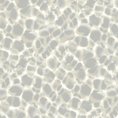 Ronald Redding Traveler