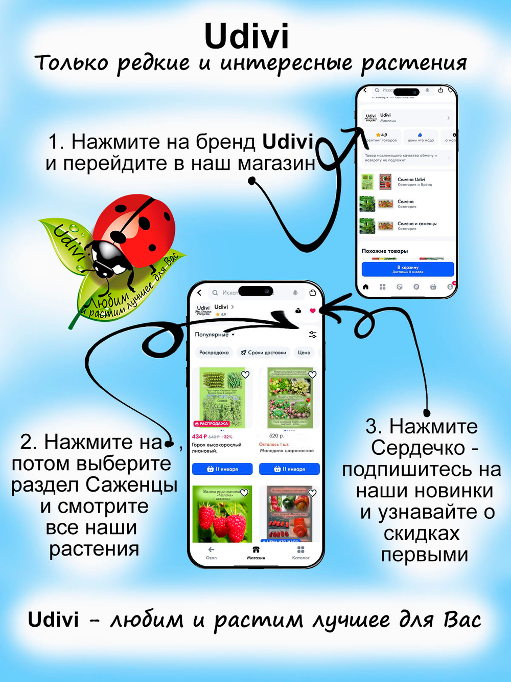Голубика Пинк Лимонад розовая