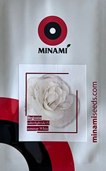 Бегония клубневая F1 Нонстоп Вайт 9 шт.