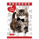 Блокнот МАЛЫЙ ФОРМАТ (68х100 мм) А7, 40 л., гребень, кремовый блок, без линовки, HATBER, "Котята", 40Б7Вгр
