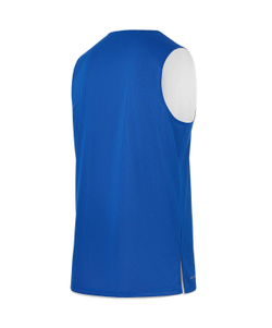 Майка двухсторонняя DIVISION PerFormDRY Double-Side RBF Jersey, синий/белый