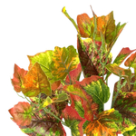 Осенний куст 35 см