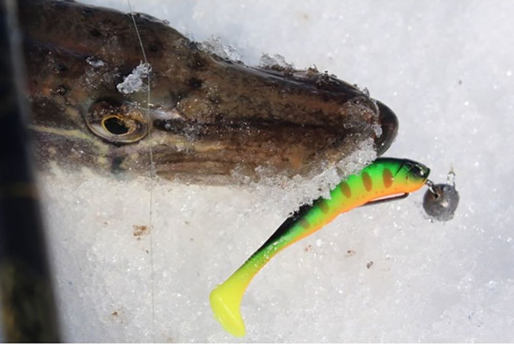 Виброхвост LUCKY JOHN Basara Soft Swim 3D, 2.5in (63 мм), цвет PG10, 8 шт/уп