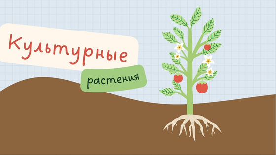 Карта "Важнейшие культурные растения мира"