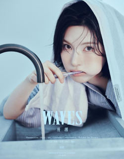 (ПРЕДЗАКАЗ) публикация WAVES (CHINA) - 2026.06 BAE A Type