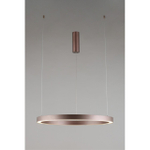 Подвесная светодиодная люстра Aployt Nisia APL.025.03.48