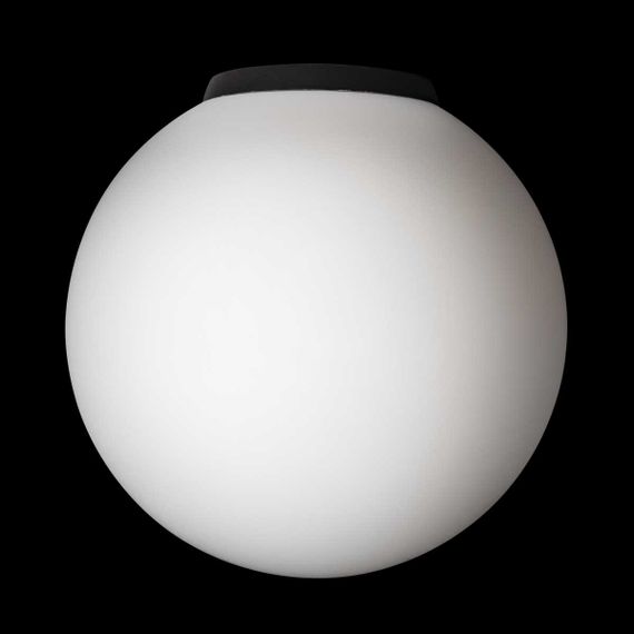 Светильник потолочный Citilux RON CL941D20B5