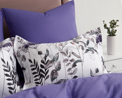 Постельное белье СайлиД BN-008 сатин