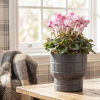 Кашпо КАРЕ D150 мм 1 л со вставкой 15*15*14см М3256