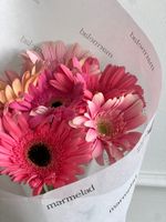 Кулек из гербер в розовом оттенке 7 шт