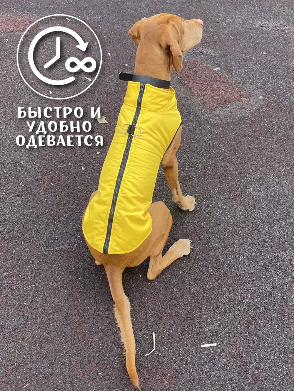 Зимний жилет для собак куртка