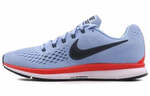 Кроссовки Nike Pegasus 34