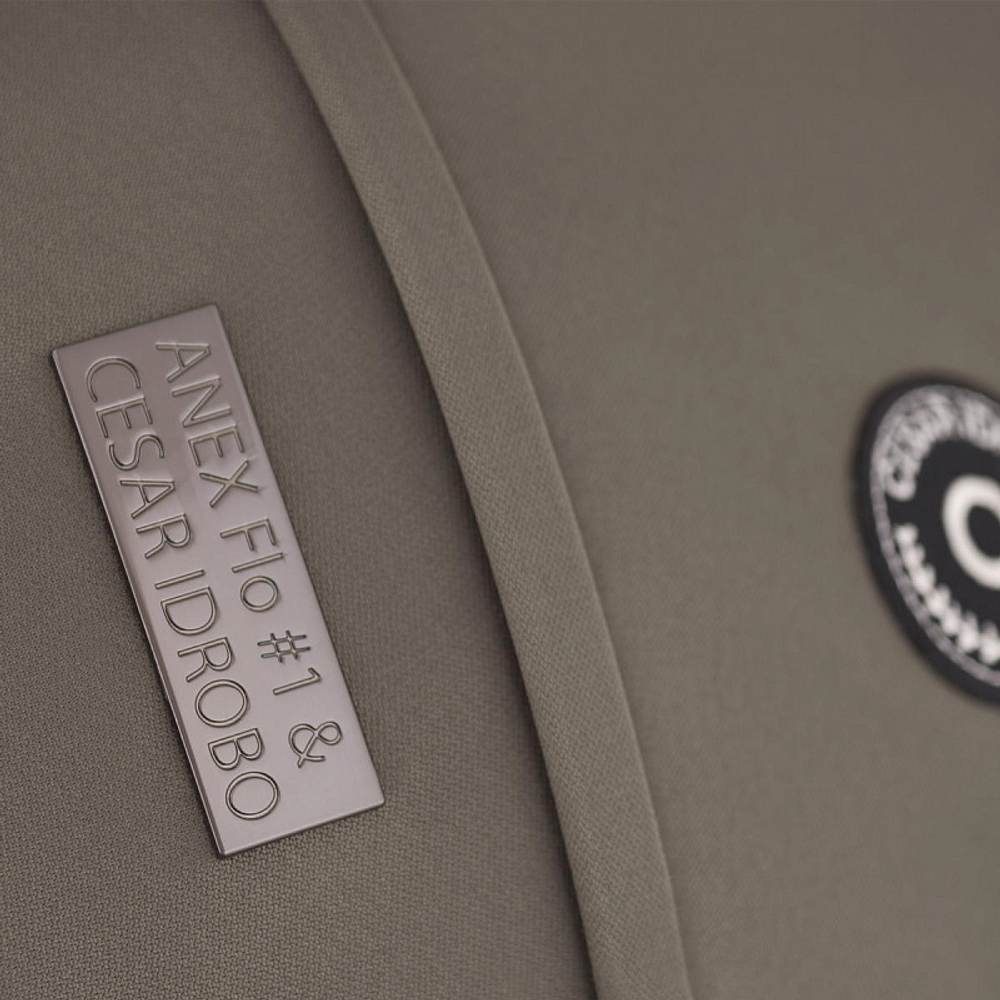 Детская коляска Anex Flo 2 в 1 Cesar