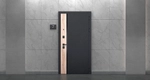 Стальная дверь "Доминик"