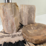Набор из окаменелого дерева 4 предм Fossil Set NF-63297 поднос 149