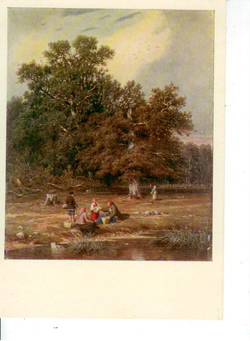 Почтовая открытка СССР - За грибами - И.И. Шишкин (1832 - 1898)