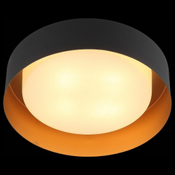 Накладной светильник ST-Luce SL392.422.04