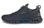 Ecco Biom C4