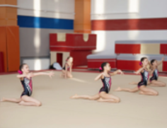 СНАРЯДЫ ДЛЯ КОМАНДНОЙ ГИМНАСТИКИ